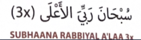 <p>Sujood</p>
