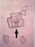 <p>What is this?</p>