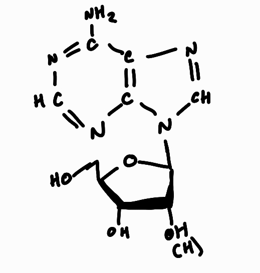 knowt flashcard image