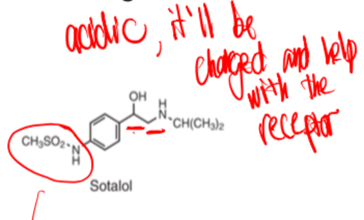 <p>- non-selective β-adrenergic antagonist</p><p>- phenylethanolamine</p>
