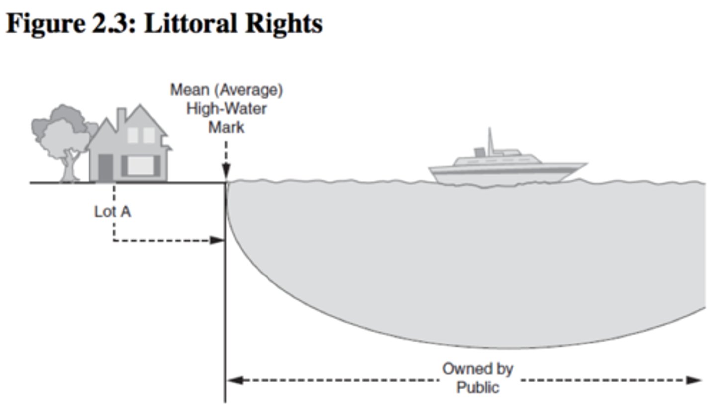 <p>Rights granted to owners whose land borders oceans and large, navigable lakes that have a tide.</p>