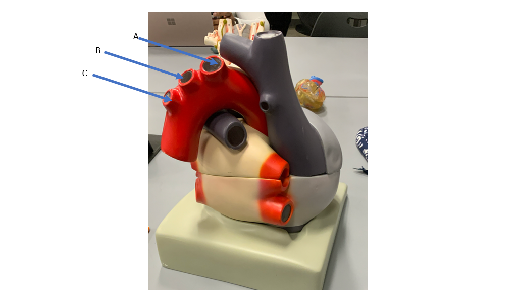 <p>what is C&nbsp;</p>