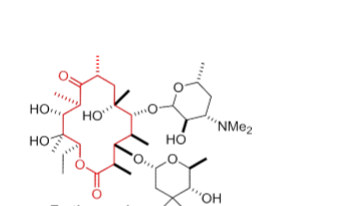 <p>What drug and MOA</p>