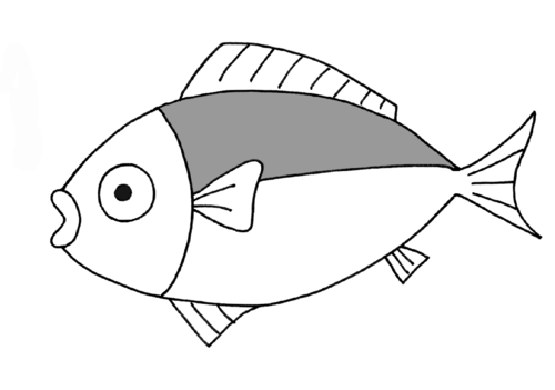 <p>fish</p>