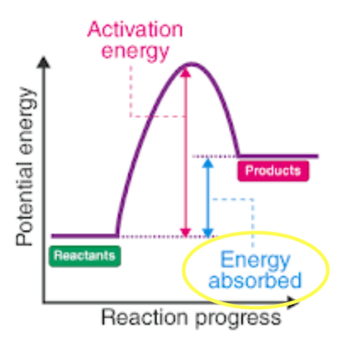 <p>a chemical reaction where the reactants absorb heat energy from the surroundings to form products. (it 'sucks up' heat from the area around it)</p>