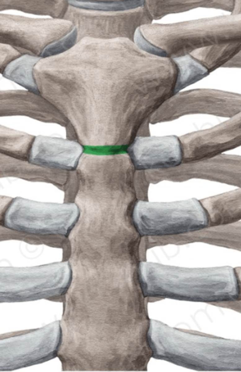 <p>Tokios jungtys suteikia tam tikro elastingumo<br>kremzlinė sąauga<br>kremzlinė sąvarža</p>