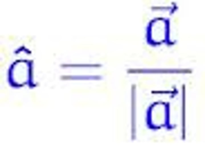 <p>A vector with a magnitude of 1</p>