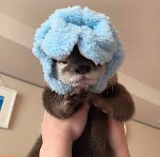 <p><span>Electrostatic pressure: positively charged ions move into negatively charged cell</span></p><ul><li><p><span>K+ and Na+ in, Cl- out.</span></p></li></ul><p class="MsoNormal"><span>Chemical concentration: ions move from high to low concentration</span></p><ul><li><p class="MsoNormal"><span>K+ out, Na+ and Cl- in.</span></p></li></ul><p></p>