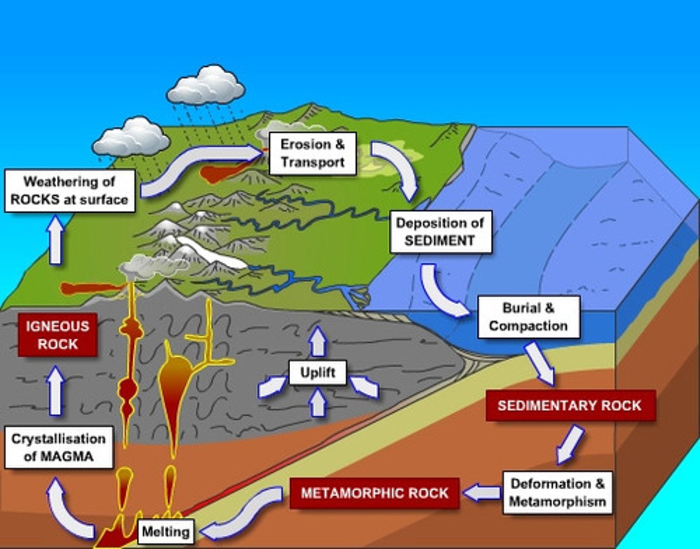 <p>The sum of the processes that build up and break down the lithosphere.</p>