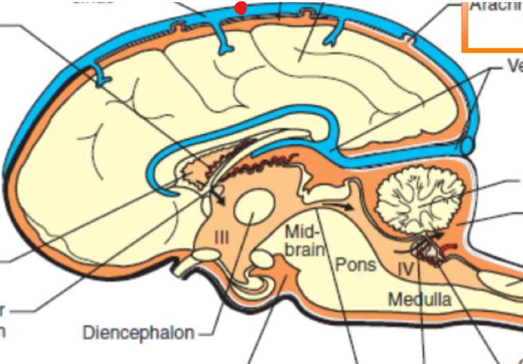 <p>what is indicated by the red dot?</p>