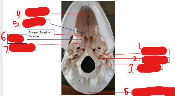 <p>1</p>