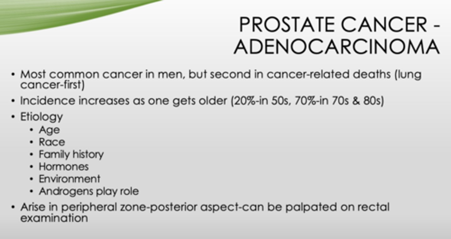 <p>prostate cancer (adenocarcinoma)</p>