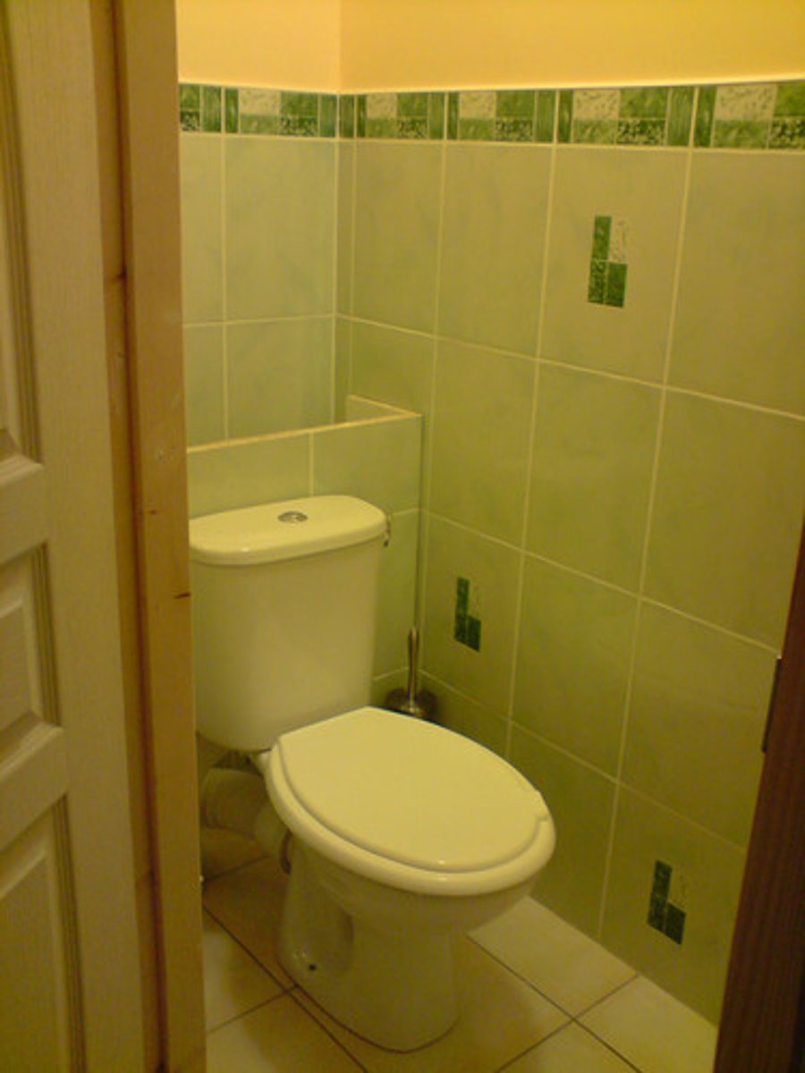 <p>the toilet</p>