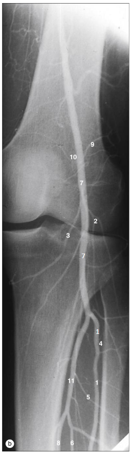 <p>1</p>