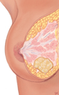 <p>What is this an image of?</p>