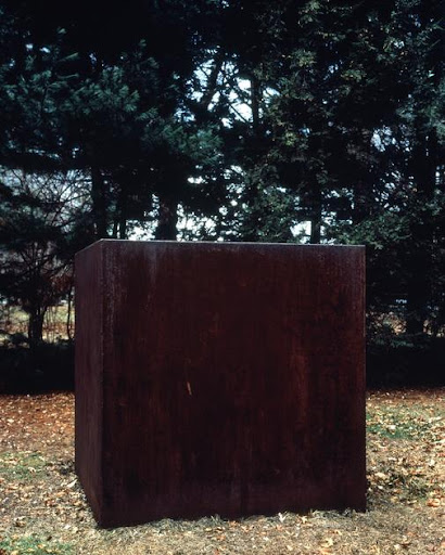 term image