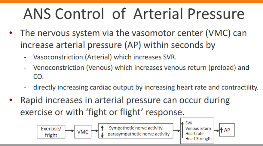 <p>the ANS uses the vasomotor center (VMC) is able to increase arterial pressure (AP) in seconds by:&nbsp;</p><p>Vasoconstriction (Arterial) which increases SVR</p><p>Venoconstriction (Venous) which increases venous return (preload) and CO</p><p><span><span>directly increasing cardiac output by increasing heart rate and contractility</span></span></p><p>Rapid increases in arterial pressure can occur during exercise or with ‘fight or flight’ response</p>
