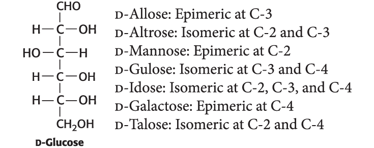 <p>Although an aldose with four asymmetric carbon atoms is capable of forming 16 diastereoisomers, only eight of the isomers are commonly observed, including glucose. They are listed after the structure of D-glucose with their structural relation to glucose. Using the structure of glucose as a reference, draw the structure.</p>
