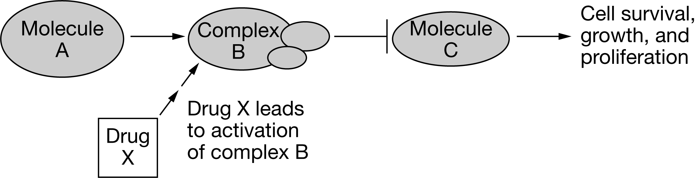<p><span>A researcher has identified a compound that reverses the effect of drug X. Based on Figure 3, which of the following best explains how the compound acts in the pathway to reverse the effects of drug X?</span></p>