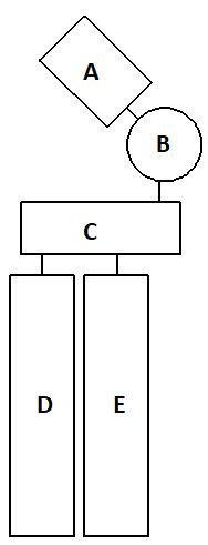 <p>In the following schematic drawing of an abundant plasma membrane phosphoglyceride, which part is positively charged?</p><p>A)  E B)  A C)  C D)  B E)  D</p>