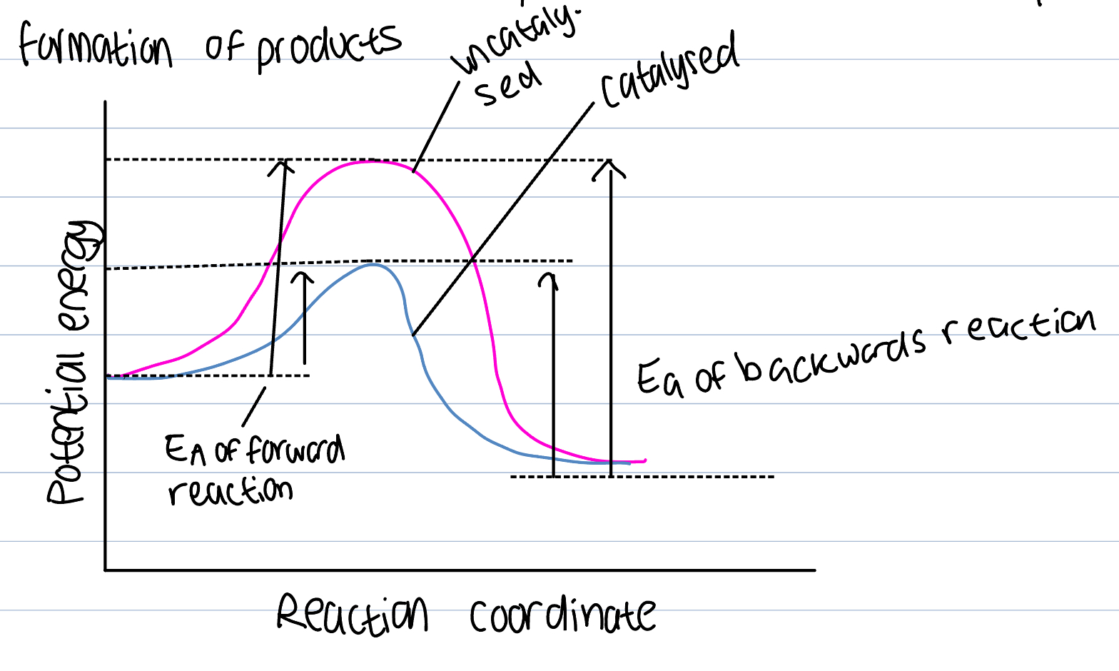 <p>A substance that increases the rate of reaction without itself undergoing a chemical change </p><p>Provides an alternative route for the reaction that has a lesser AE</p><p>Larger number of particles will have the KE greater than the AE as catalyst will lower AE necessary and number of successful collisions will increase and ROR increase so product formation will too </p><p>Play an essential role in industrial processes, otherwise would proceed too slow and would have to use high temperature to increase ROR</p>
