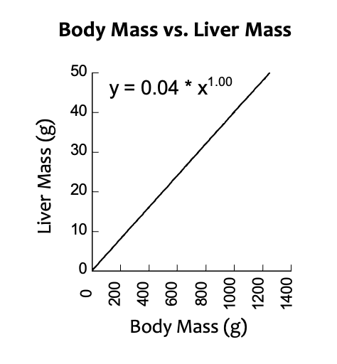 <ul><li><p>defines the type of scaling relationship</p></li><li><p>if b=1, there is no differential growth:</p></li><li><p>the relative size of Y to X is the same at all values of X&nbsp;</p></li><li><p>isometry (maintenance of geometric similarity)</p></li><li><p></p></li></ul><p></p>