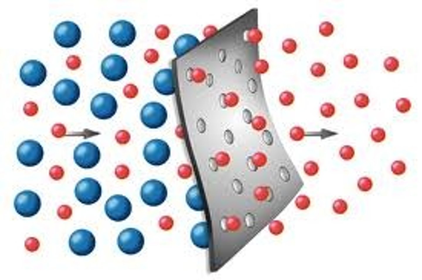 <p>A membrane that is permeable to certain substances, such as water, but is not permeable to other substances.半透膜</p>