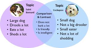<p><strong>compare and contrast</strong></p>