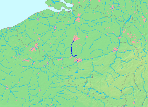 term image