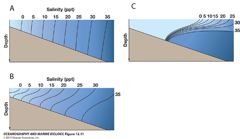 <p>flow is from left to right at the surface (top of the diagram) and right to left at depth, with some upward vertical mixing.</p>