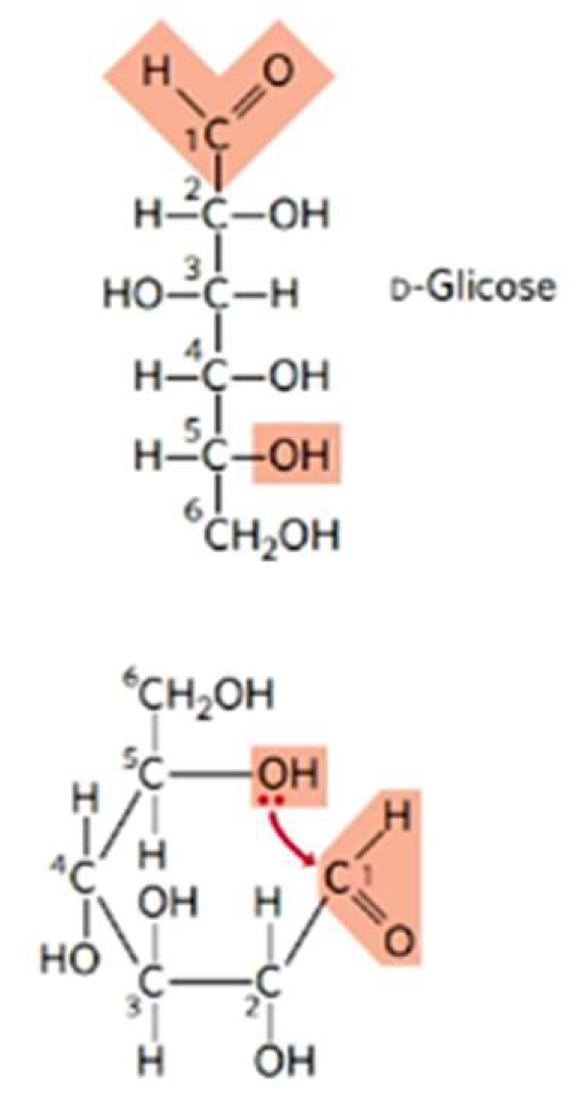 <p>É a reação entre o álcool com a cetona\aldeído na formação do anel cíclico do carboidrato, formando tais derivados.</p>