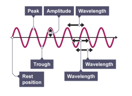 <p>the maximum displacement of a point of a wave from its rest position</p>