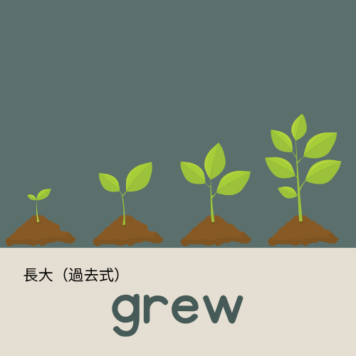 <p>grew</p>