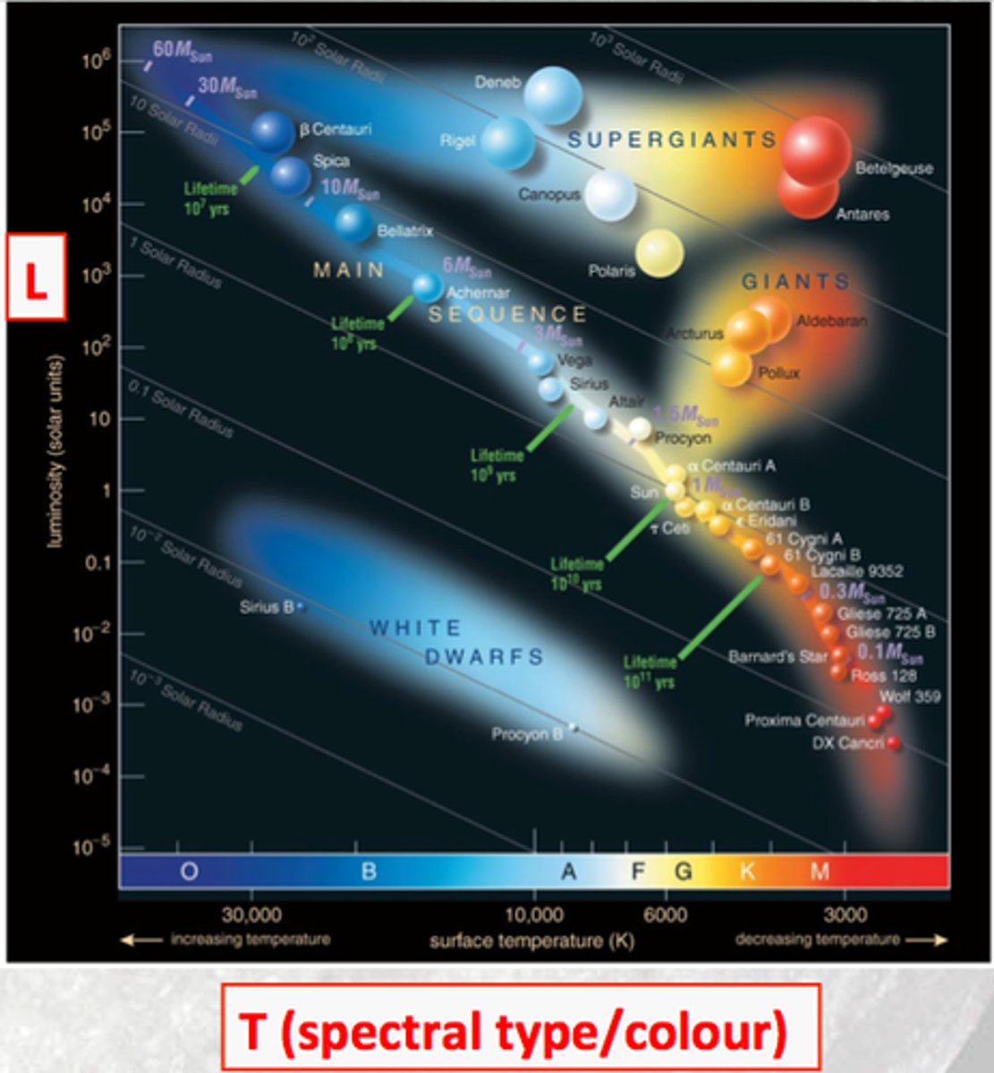 <p>A graph relating the temperature and brightness of stars</p>