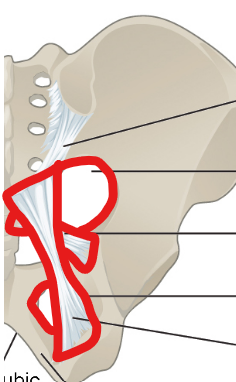 <p>What are the red areas called?</p>