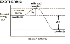 <p>Release energy and the energy value is added to the right (product) side of the reaction arrow in a forward reaction.</p>