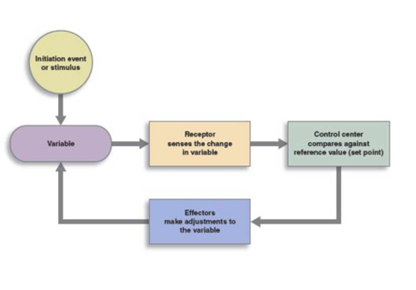 <p>1. Sensory Receptor</p><p>2. Control Center</p><p>3. Effector</p>