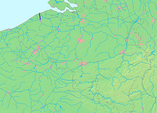 term image