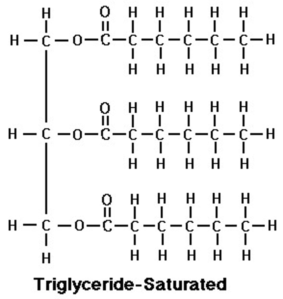 <p>1 glycerol and 3 fatty acids</p>
