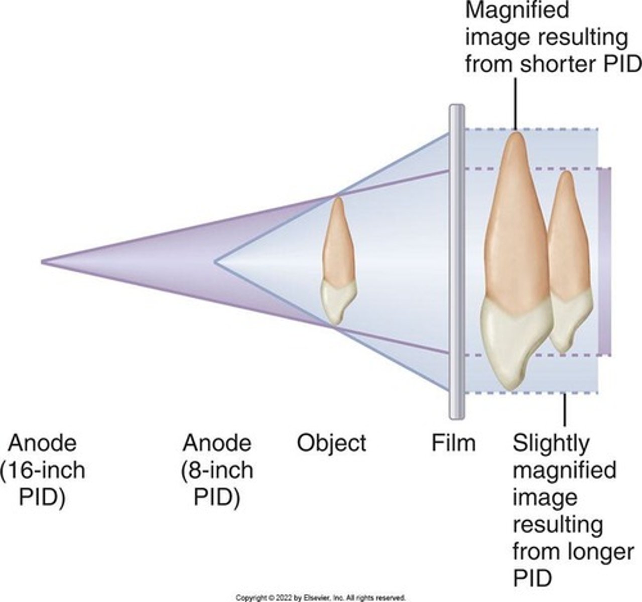 <p>Target-receptor distance and object-receptor distance.</p>