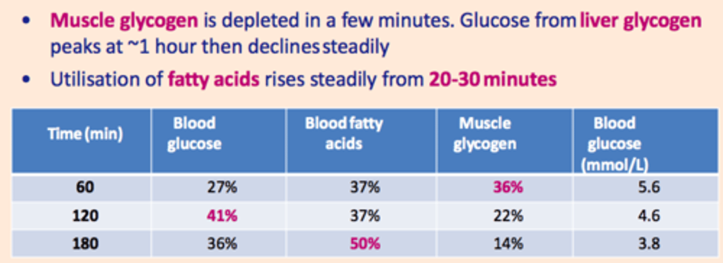 <p>1) Muscle glycogen depleted in minutes</p><p>2) Blood glucose from liver glycogen peaks at 1 hour</p><p>3) Use of fatty acids steadily increases from 20-30 minutes</p>