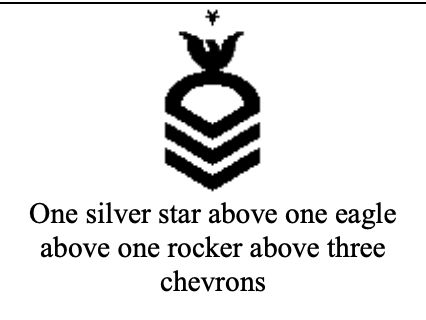 <p>(E8)</p>