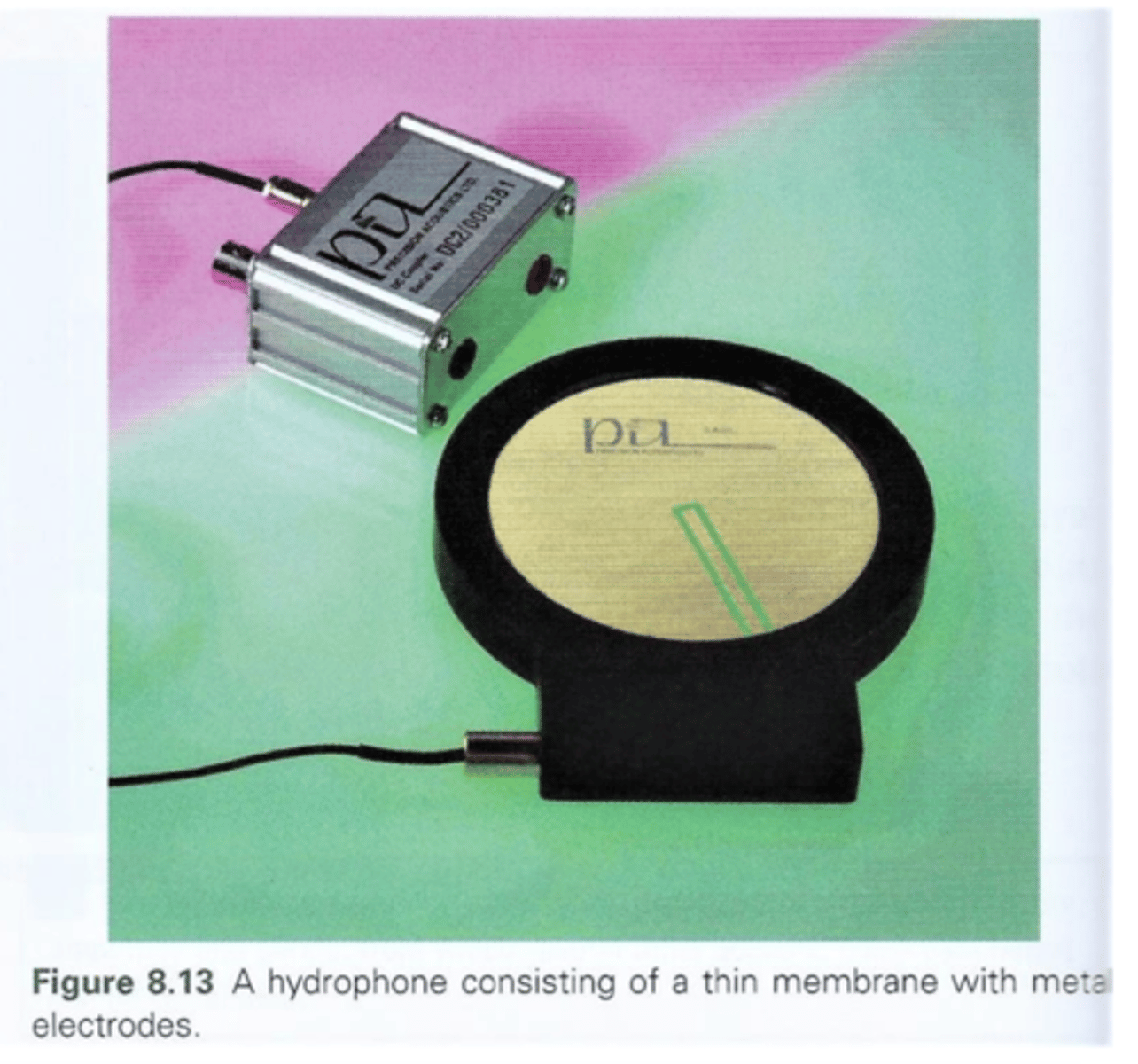 <p>membrane with small metallic electrodes centered on both sides</p>