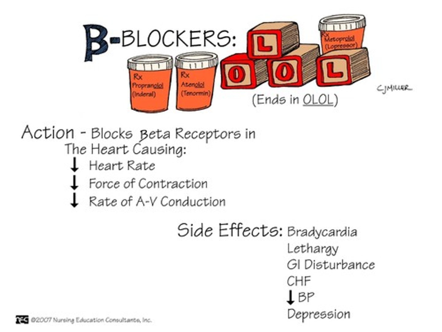 <p>1) cause the heart to beat more slowly 2) decrease blood pressure 3) They help widen (vasodilate) blood vessels</p>