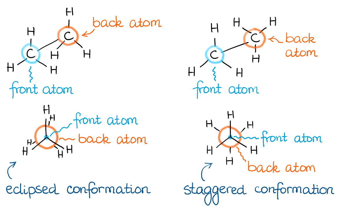 <p>Visualize orientation around a single bond; front carbon is a dot, back carbon is a circle</p>