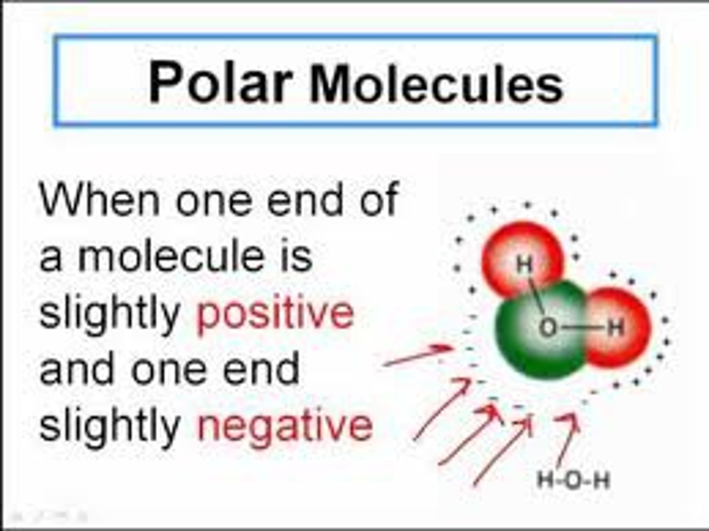 <p>The uneven sharing of electrons in the water molecule, making the hydrogen end slightly positive and the oxygen end slightly negative.</p>