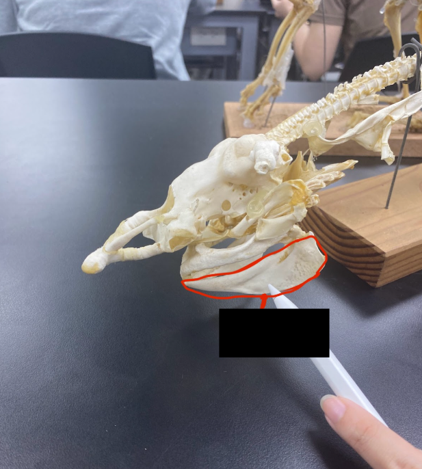 <p>What part is this</p>