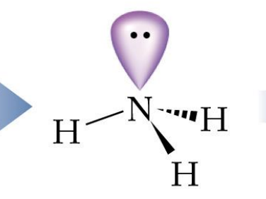 <p>What is the steric number of this molecule?</p>