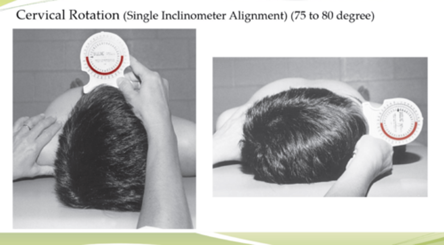 <p>SUPINE<br>middle of forehead</p>