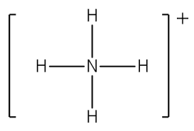 <p>NH4^+1</p>